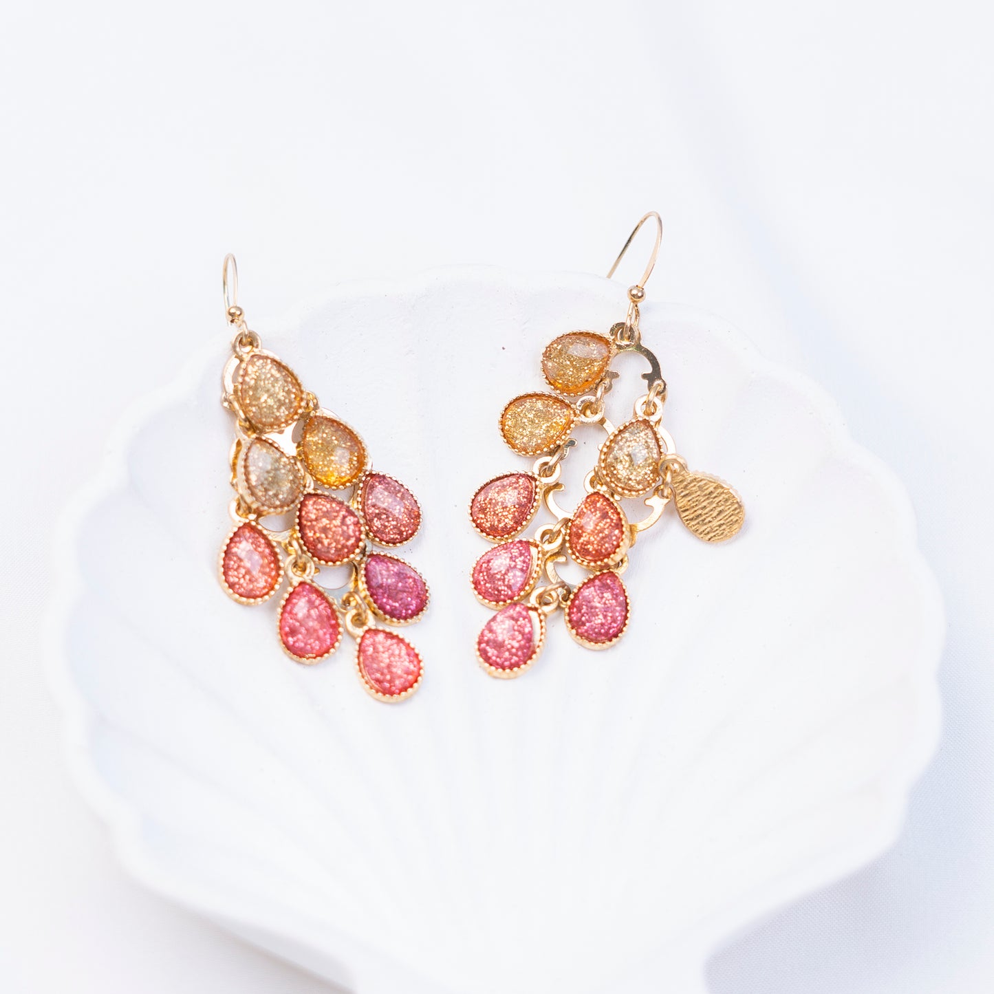 Multi Colored Earrings