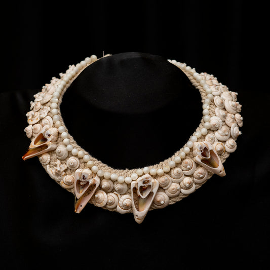 Sea Shell Pearls