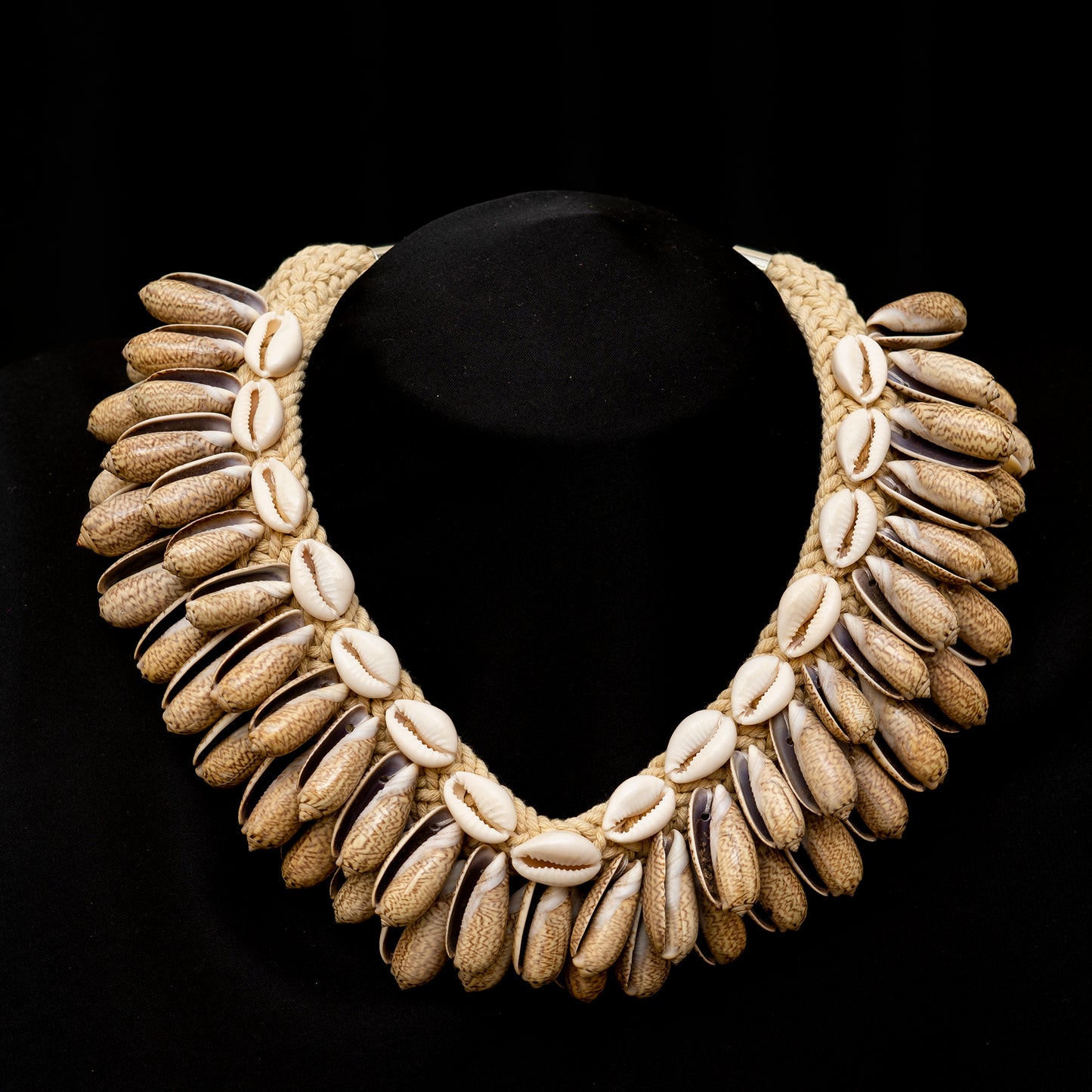 long Seashell Necklace