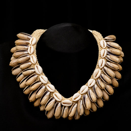 long Seashell Necklace