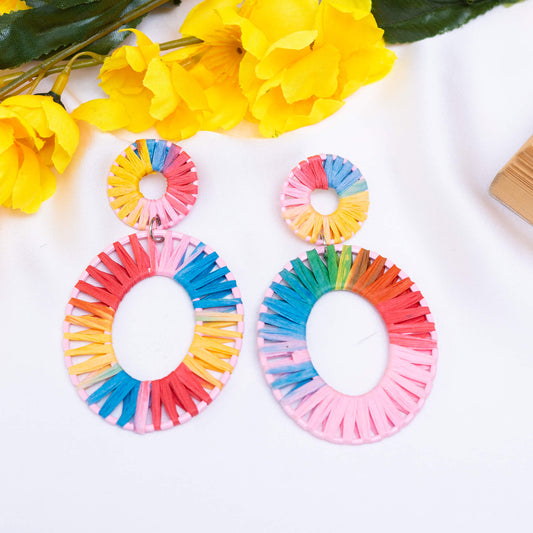 Multi Colored Earrings